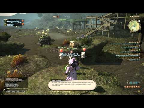 FFXIV Following In