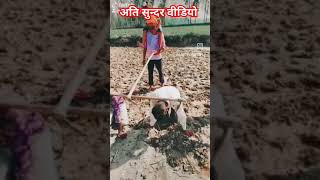 is desh ka unpadh mitti..?.shorts short shortvideo farmer farm ₹$¢₱£€¥$¥