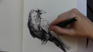 The Raven ~ Edgar Allan Poe (Reading and Sketch)