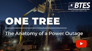 One Tree: The Anatomy of a Power Outage (2021)