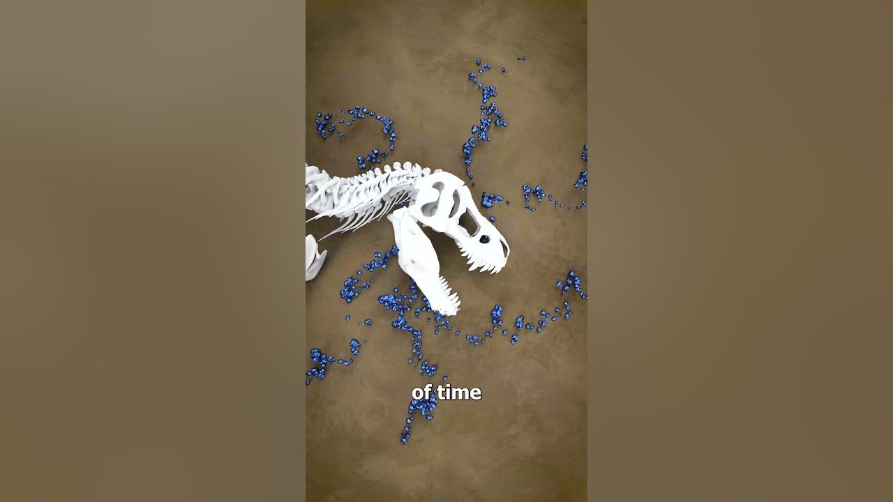 How Fossilization Works 🤔
