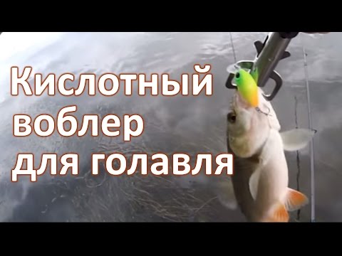 Кислотный воблер для голавля Кислотный воблер для голавля