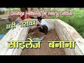 Sileage Making for Dairy Cattles | चारा प्रबंधन और साल भर उपलब्धता | Dairy Pashu Prabandhan