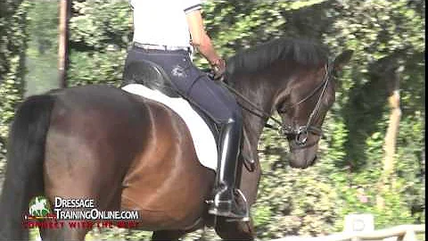 Dressage Training with Hilda Gurney on Rider Posit...