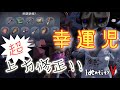 【identity V】超絶強化！？幸運をその手に これぞまさにラッキーボーイ【幸運児 中国鯖】