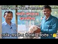 Pig Farming // Piggery Farm in Assam // Pig Farming in Assam // গাহৰি পালন / Gahori Palon / Pig Farm