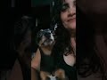 Bartolomeu fazendo caras de pouco.  kkkk Nesse calozão os animais sofrem.