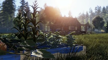 Rust Background farming VIDEO IN COLOR - Credit to Facepunch