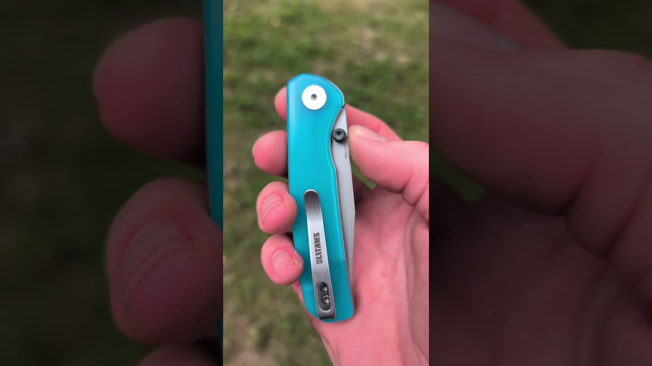 Olitans Gecko (link in description)