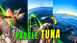 Guy on a Paddle Managed to Catch a Powerful Tuna Fish That Refused to Give In