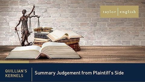 Litigation Fundamentals | Summary Judgment from Plaintiff