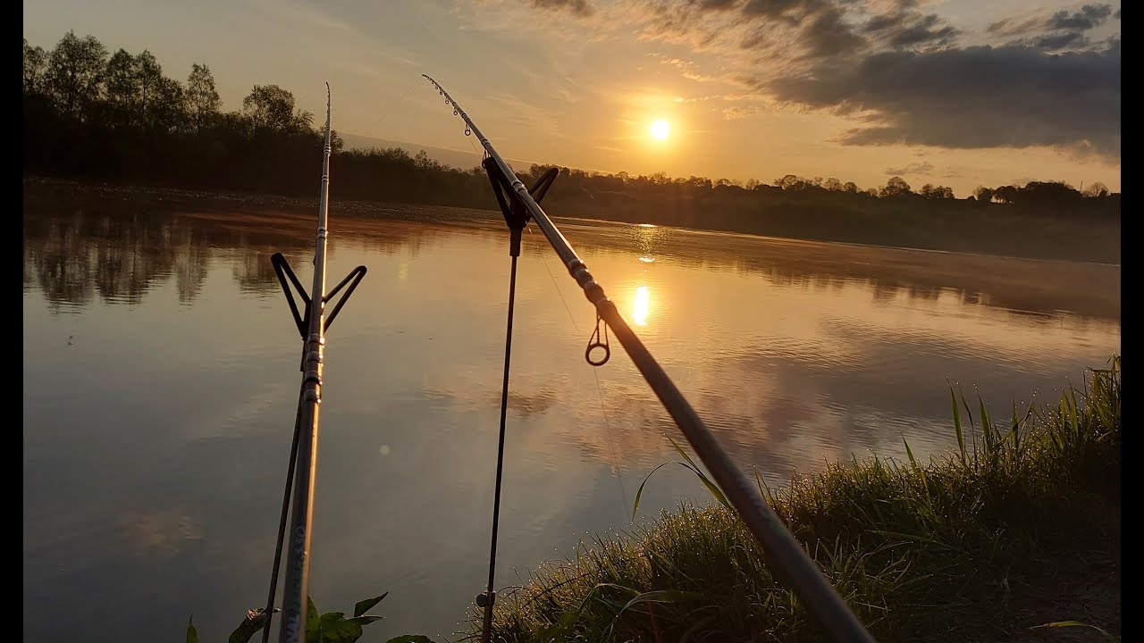 р. Дністер! Рибалка із ночівлею на фідер)) Лящ, карась, плотва, рибець)