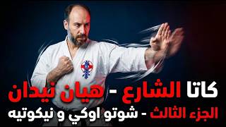 ☠️ أخطر ضربة في الكاراتيه: الرمح القاتل! (هيان نيدان ج٣) | Deadly Spear Hand (Nukite) Application 🥋 screenshot 4