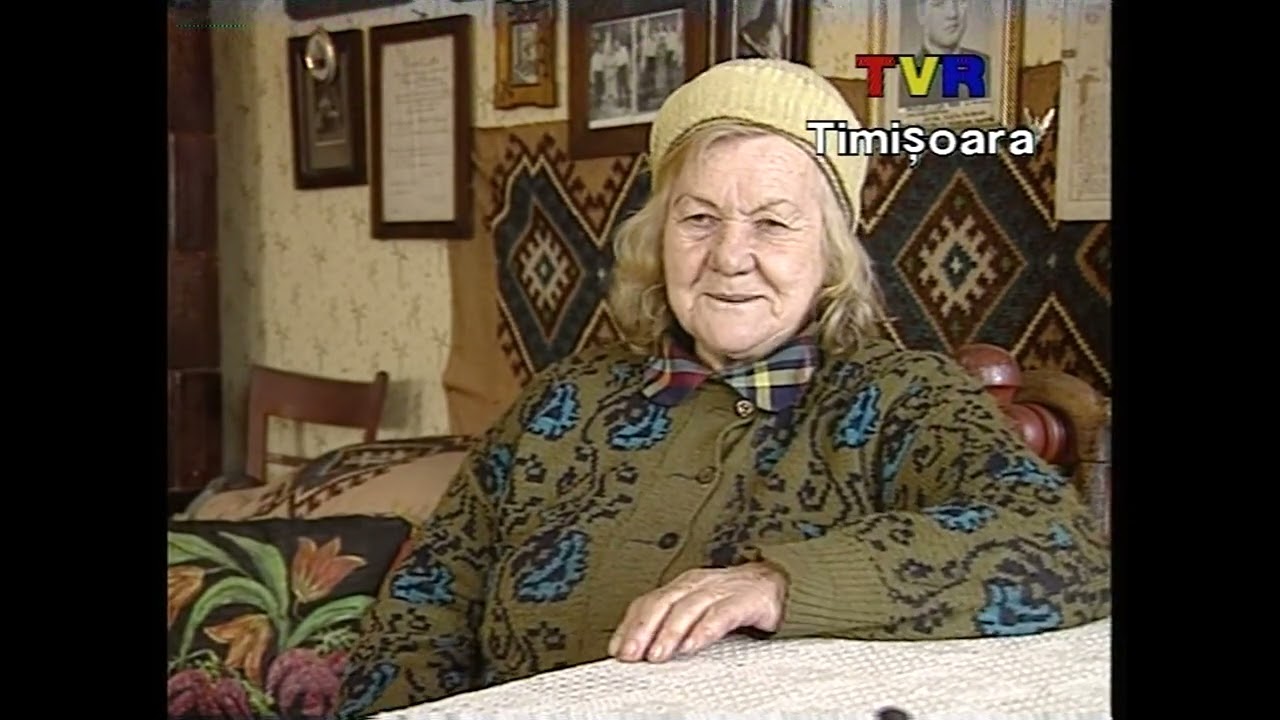 Aurel Vlaicu în memoria timpului. Reportaj la casa memorială „Aurel Vlaicu”