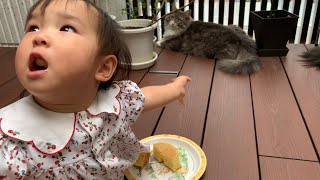 パンケーキに喜びを爆発させる娘と静かにしてほしい猫　ノルウェージャンフォレストキャット　A cat watching over a pancake delighted daughter nearby