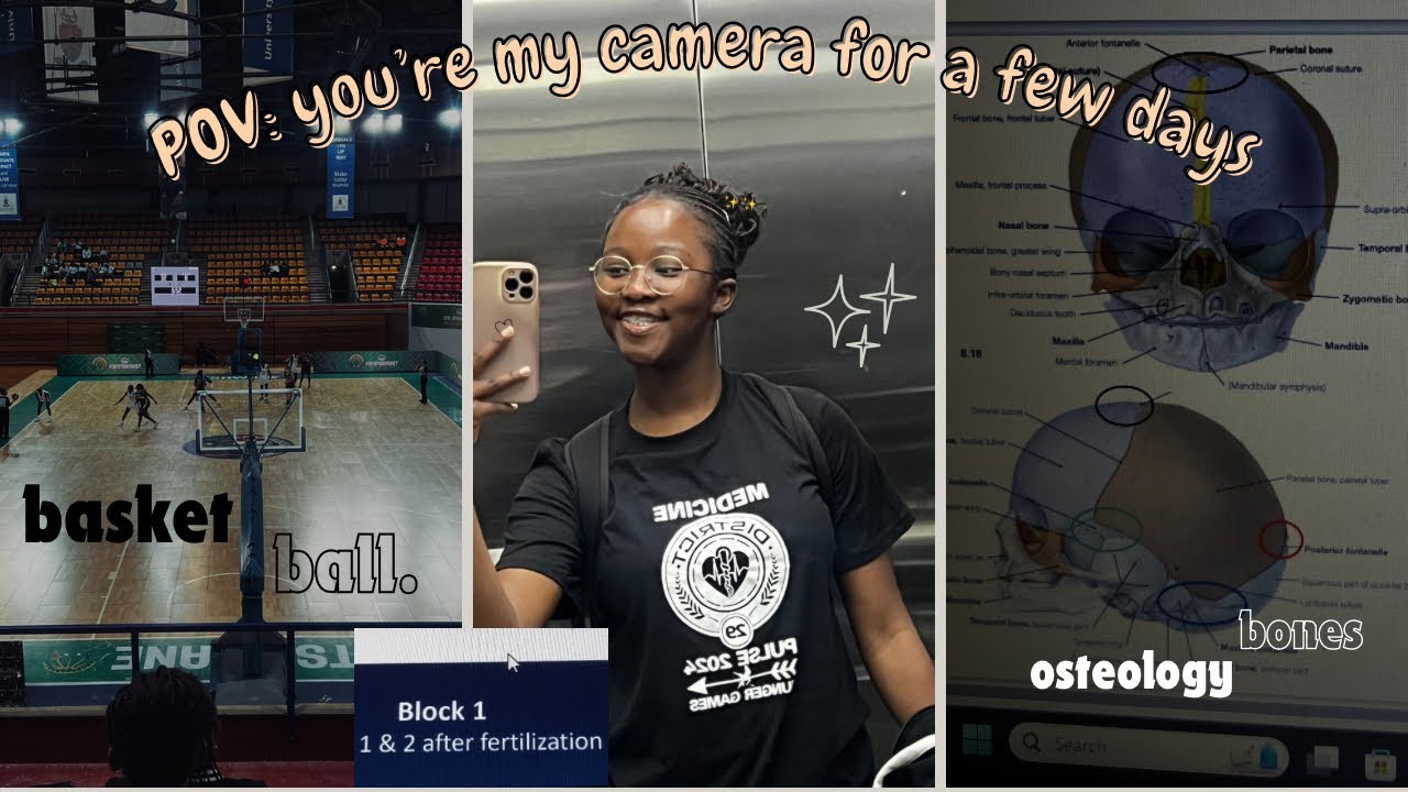 Life As A Med Student Lectures Osteology Basketball Mini life-as-a-med-student-lectures-osteology-basketball-mini
