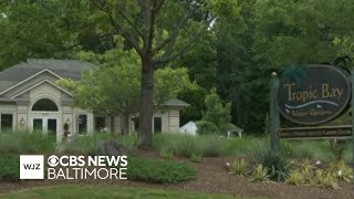 19-year-old pleads guilty to murder of Anne Arundel County business owner