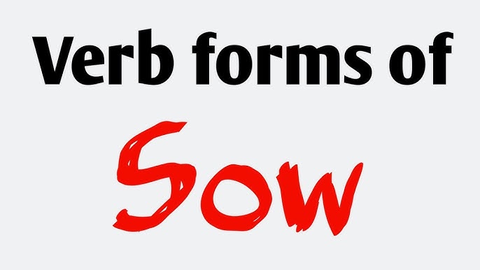 Sow Past And Past Participle Form V1 V2 V3 V4 V5 Form of Sow