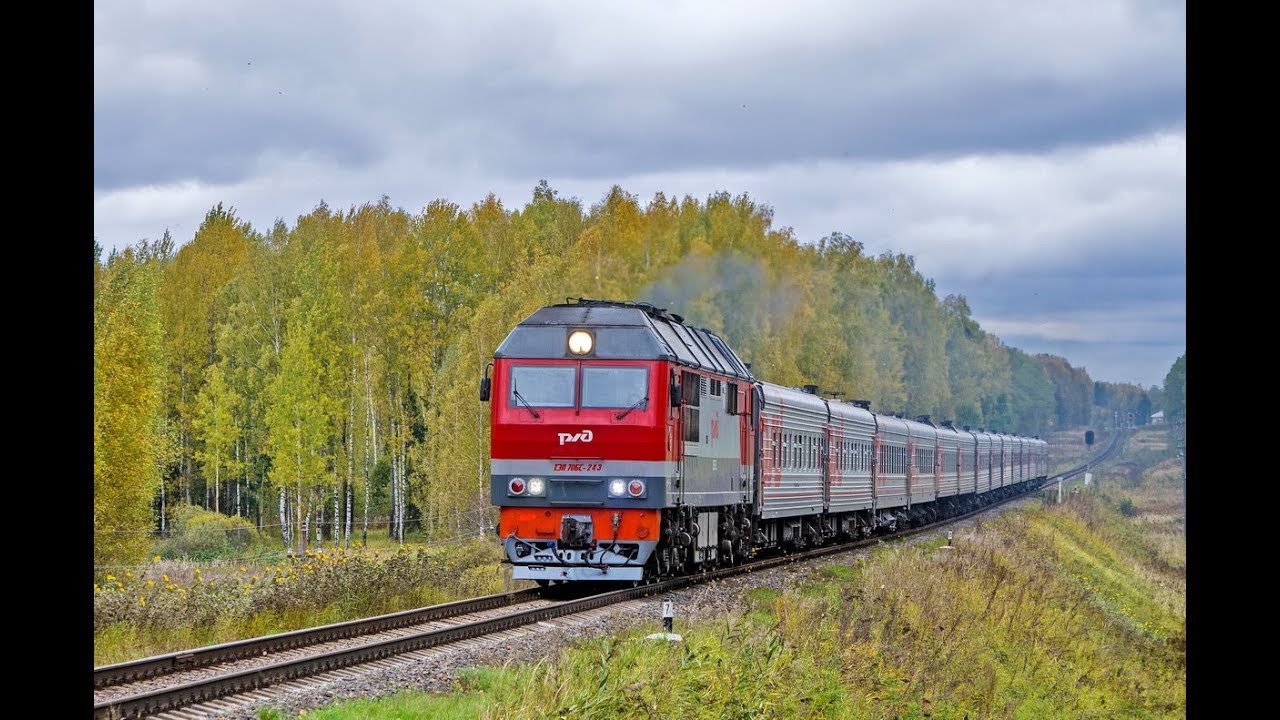 Калининград адлер поезд движения