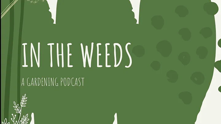 In the Weeds - episode 1