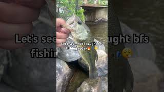 3.2 inch bodega #viral #fishing #bassfishing #likeandsubscribe #bfsfishing #sixthsense #bodega #fih