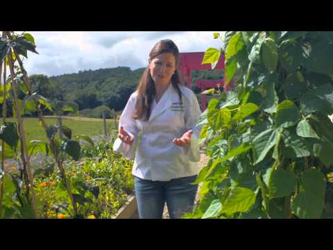 National Potato Day: A message from Catherine Fulvio
