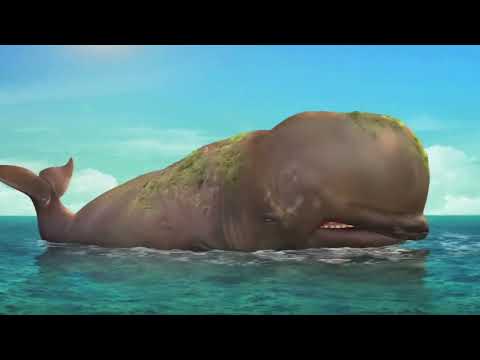 Whale Burp & Fart (Stomach Growl & Fart Edit)