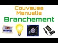 Branchement thermostat interrupteur ventilateur et ampoule chauffante couveuse