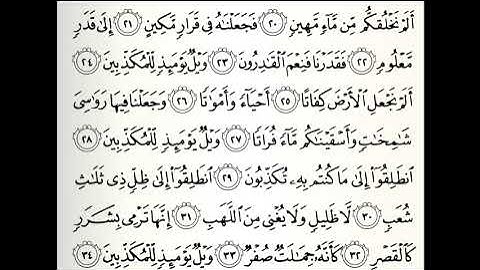 سورة المرسلات القارئ محمد الفقيه
