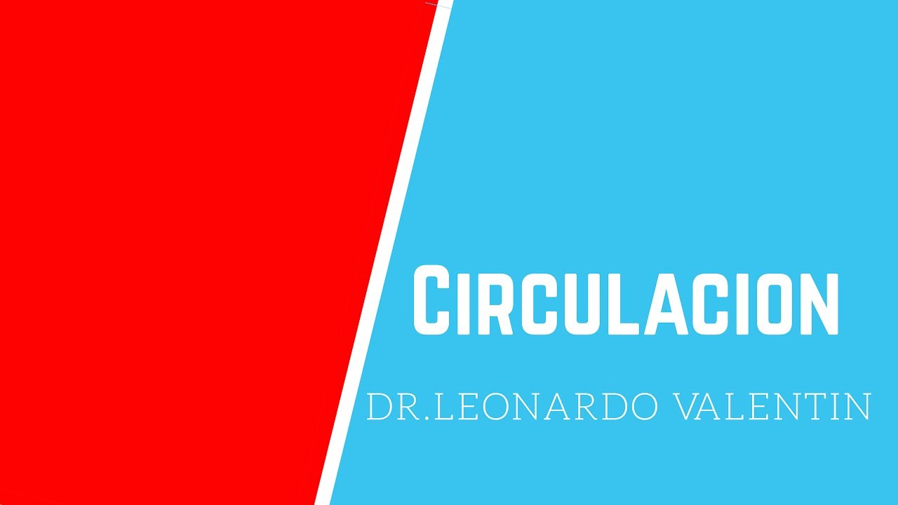 Que medicamento es bueno para la circulacion de la sangre