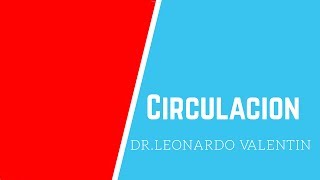Trental medicamentos