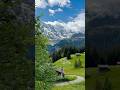 Swiss alps and flower meadows of Murren, Switzerland 🇨🇭 #mürren
