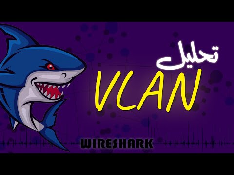 VLAN Analysis | شرح وتحليل VLAN (dot1q, native vlan)