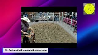 Jones Livestock Auction - Jones, OK