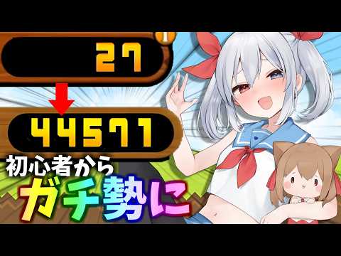 にゃんこ13と2分の1！今から始めてガチ勢になる方法！！【にゃんこ