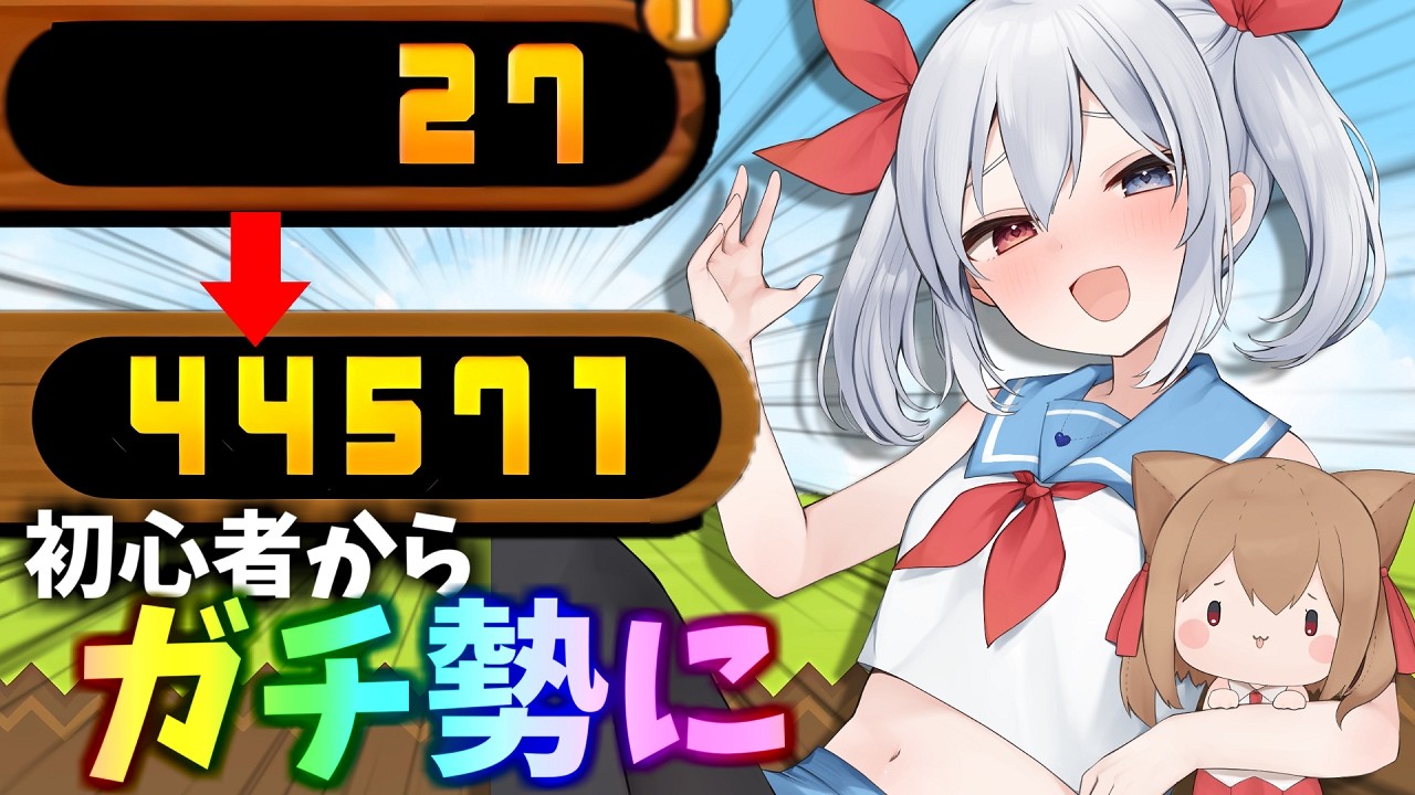 にゃんこ大好き様　2点 maxresdefault.jpg