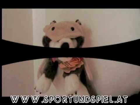 Video: Vlk v rouše beránčím maňásek na ruku