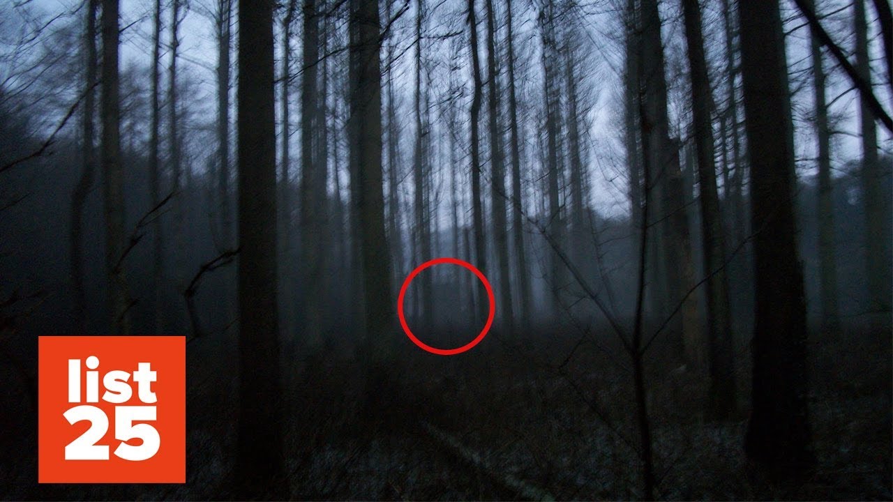  25 CREEPY Things Found In The Woods