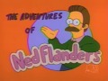 The adventures of ned flanders  love that god