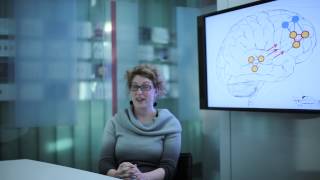 Catch Those Zzzzs - Sleep Affects Memory