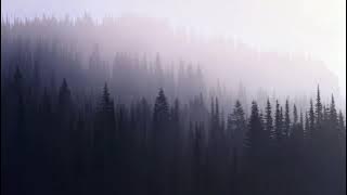 Naagii-Chamaig Huleene lyrics