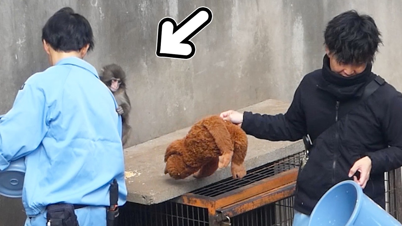 Punch just won’t let go… the keeper finally gave up 🤣