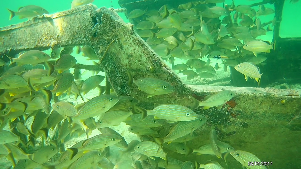 CocoaCay, Bahamas Wrecked Plane Snorkel!
