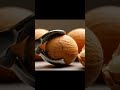 dry fruits name