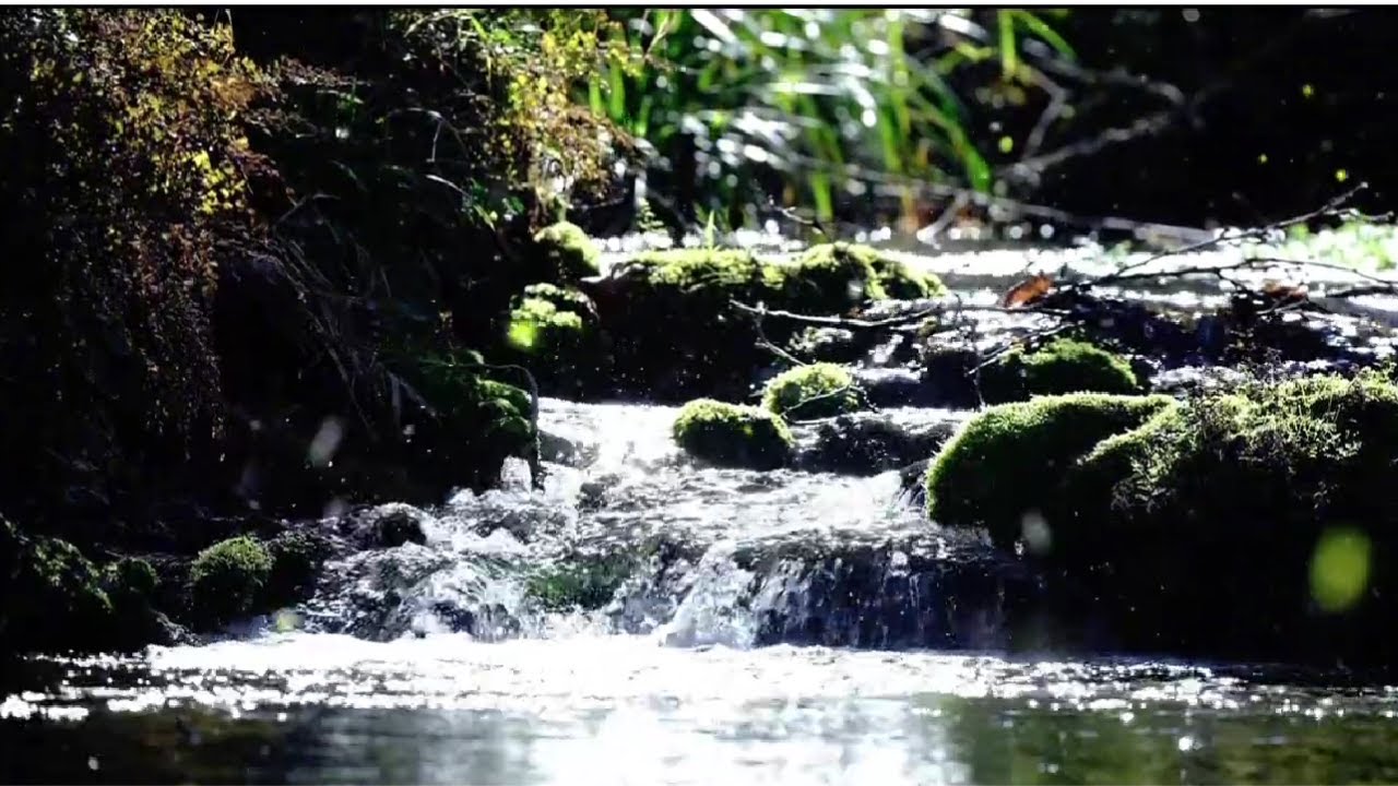 Tranquil Waterfall Sounds for Deep Relaxation & Stress Relief