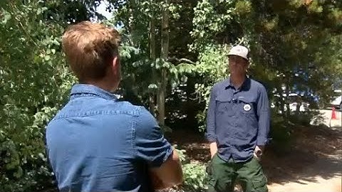 Lightning strikes in high country sparking wildfires while bringing extra moisture