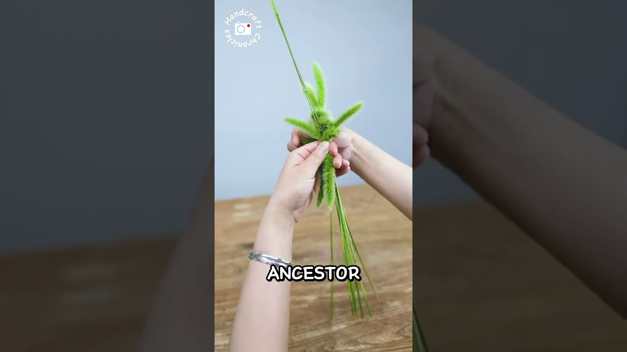 This 'Weed' is Actually Ancient Superfood!