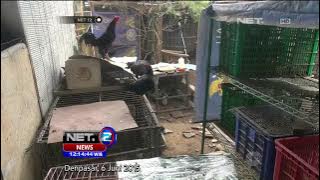 Jejak Margriet Dalam Kasus Pembunuhan Engeline - NET12