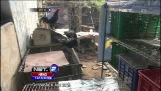 Jejak Margriet Dalam Kasus Pembunuhan Engeline - NET12