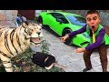 13+ TIGER VS Mr. Joe found Car Keys in Tiger's Mouth & Started Race on Lamborghini Huracan